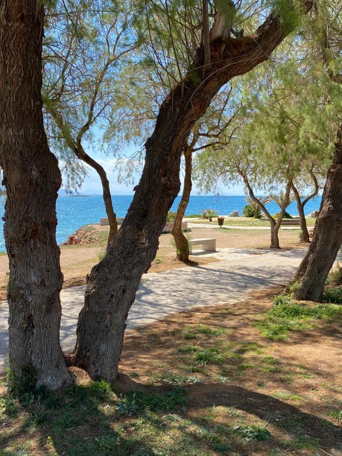 Athens-Riviera Luxury Apartment Sea View Voula المظهر الخارجي الصورة